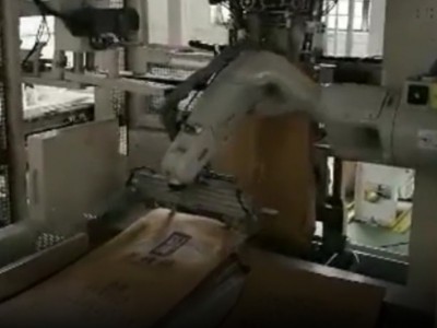 机器抓手敞口式自动套袋 颗粒物自动装袋生产线图2