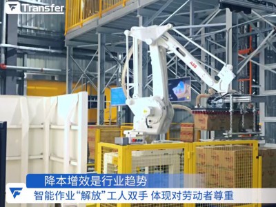 食品产品纸箱拆垛机器人图2