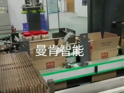 自动装箱机图2